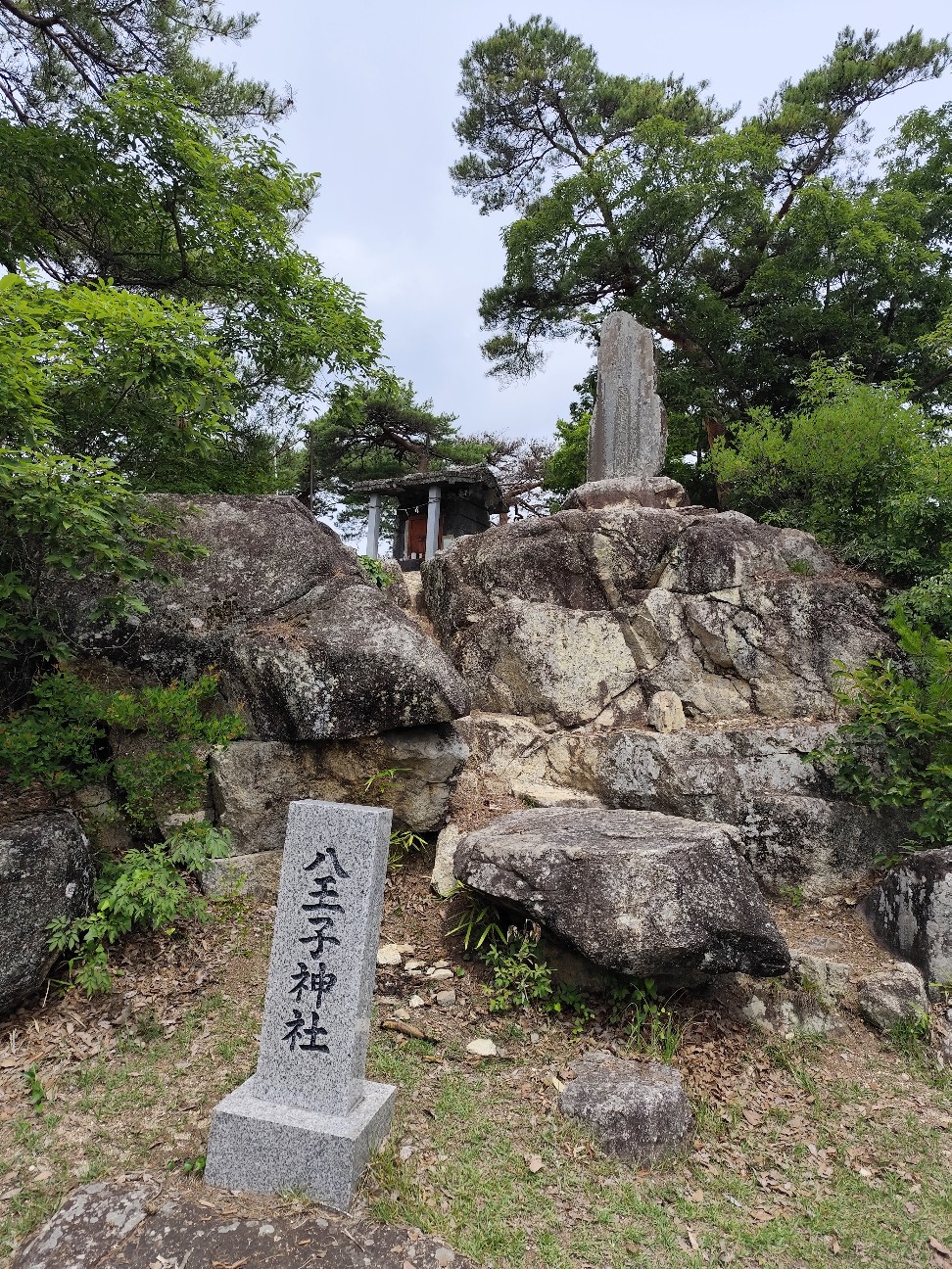 f:id:yueguang:20260702171155j:image