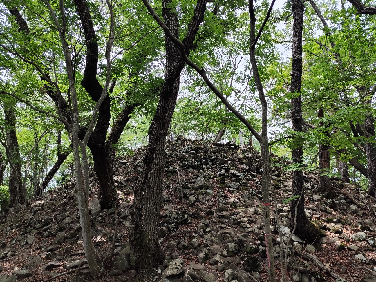 f:id:yueguang:20260702180249j:image