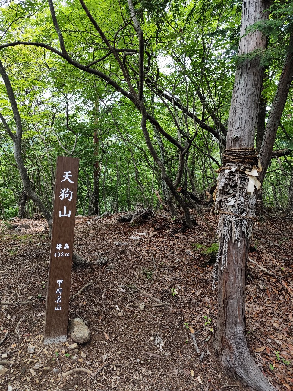 f:id:yueguang:20260702180334j:image