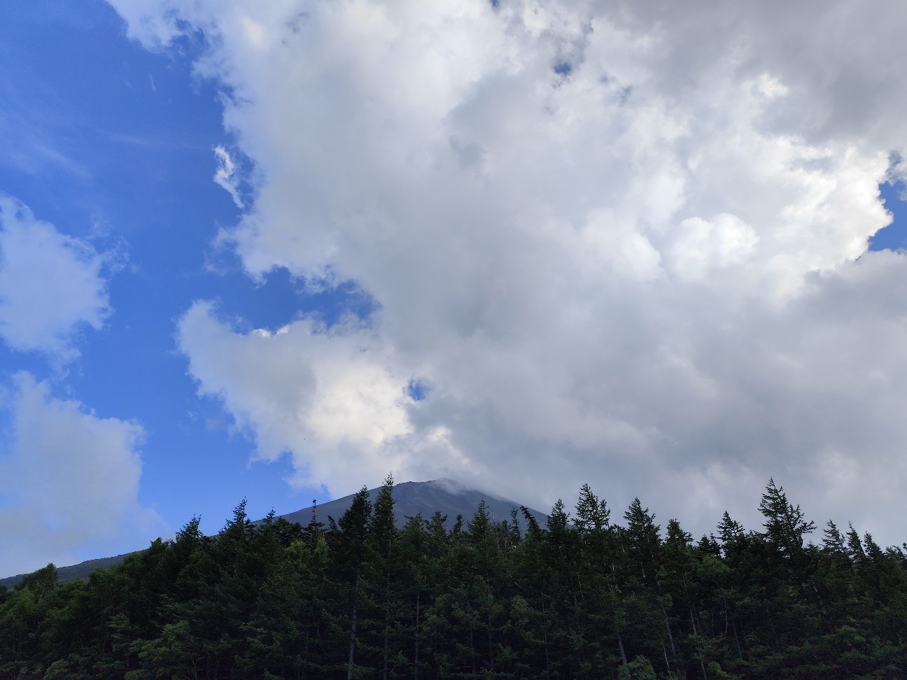 f:id:yueguang:20260723212426j:image f:id:yueguang:20260723212426j:image