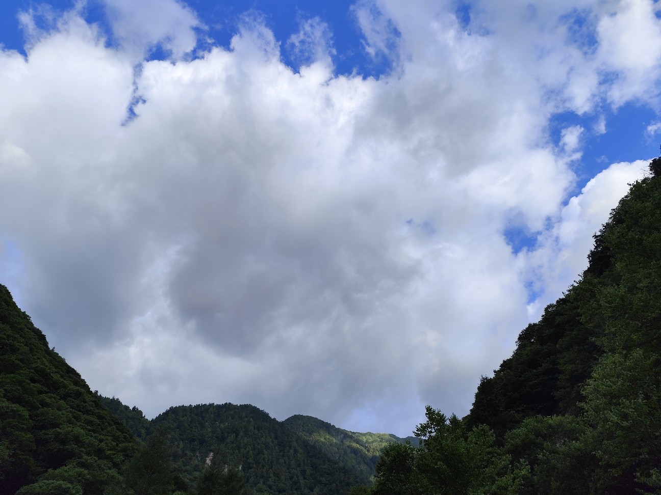 f:id:yueguang:20260728064014j:image