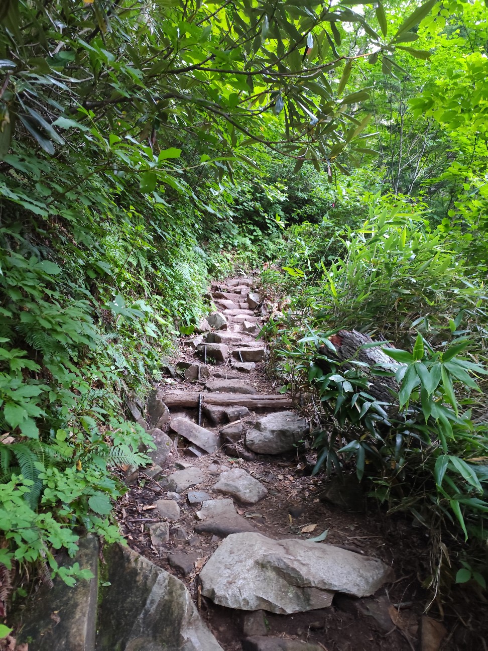 f:id:yueguang:20260827211653j:image f:id:yueguang:20260827211653j:image