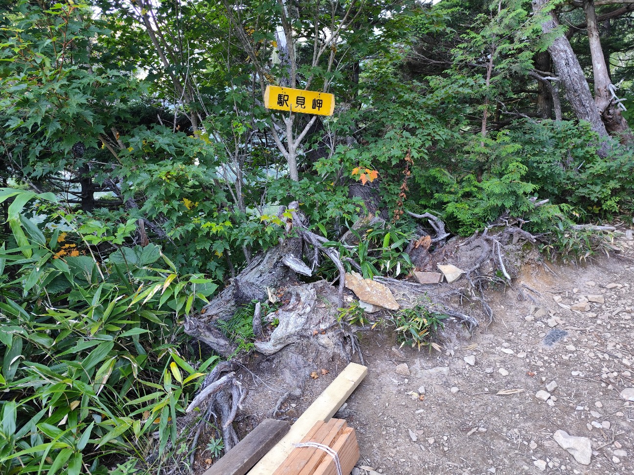 f:id:yueguang:20260827211716j:image f:id:yueguang:20260827211716j:image