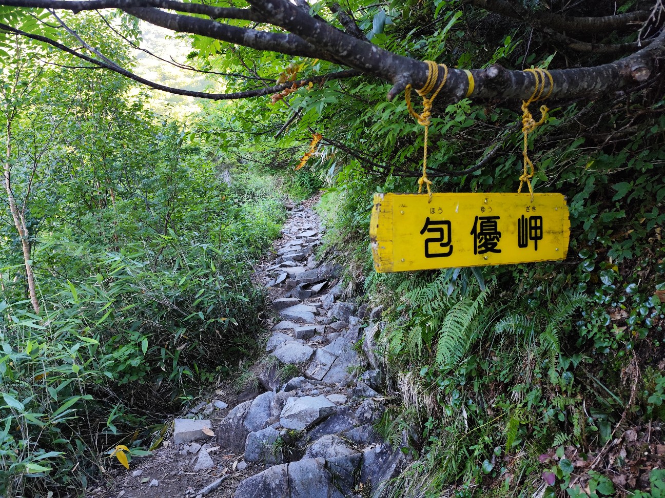 f:id:yueguang:20260827211731j:image f:id:yueguang:20260827211731j:image