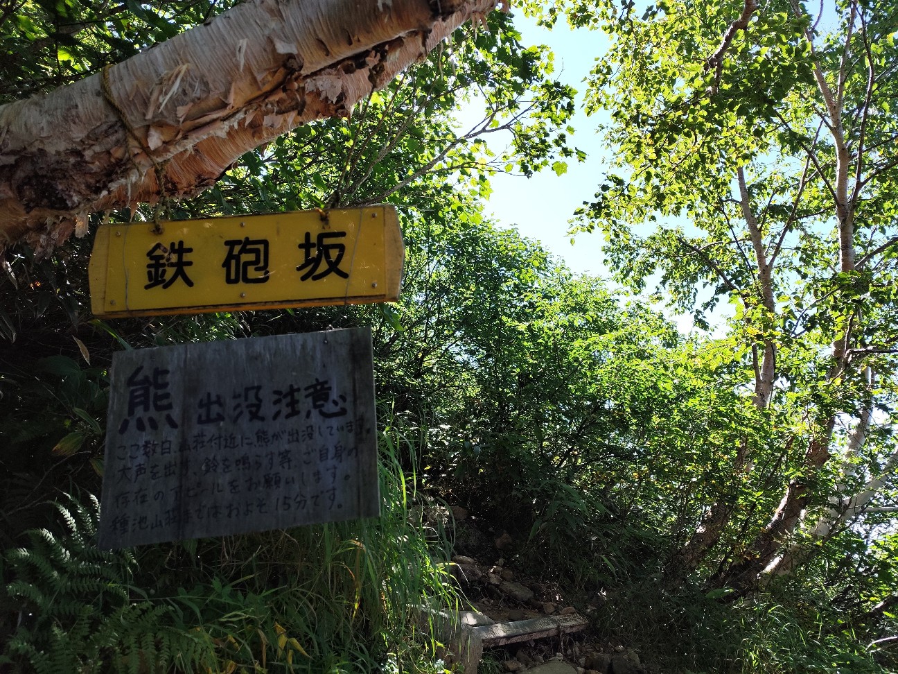 f:id:yueguang:20260827211807j:image f:id:yueguang:20260827211807j:image