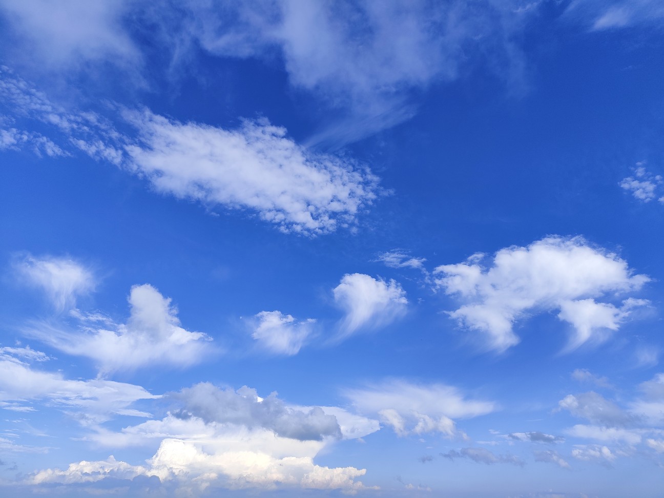 f:id:yueguang:20260827214355j:image f:id:yueguang:20260827214355j:image