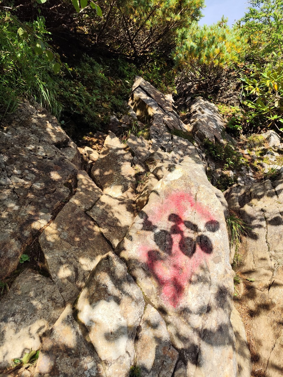 f:id:yueguang:20260827225307j:image f:id:yueguang:20260827225307j:image