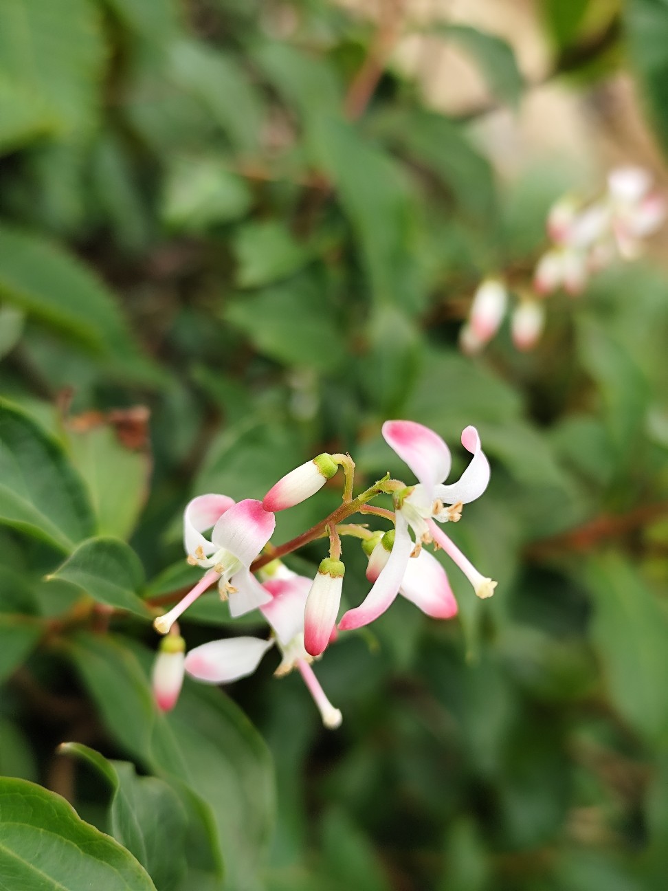 f:id:yueguang:20260827225333j:image f:id:yueguang:20260827225333j:image