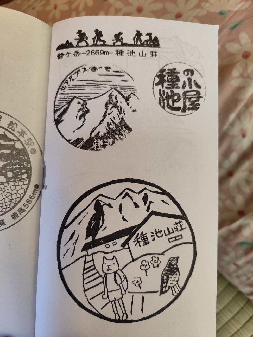 f:id:yueguang:20260827225700j:image f:id:yueguang:20260827225700j:image
