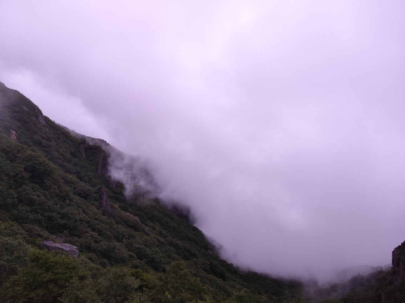 f:id:yueguang:20260827225732j:image f:id:yueguang:20260827225732j:image