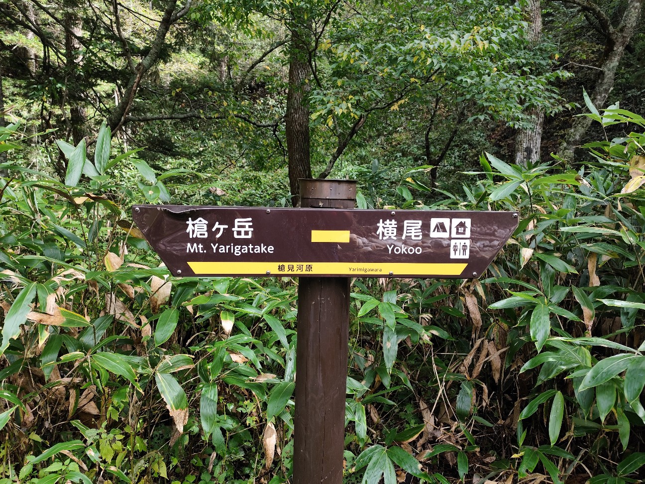 f:id:yueguang:20261010002955j:image f:id:yueguang:20261010002955j:image