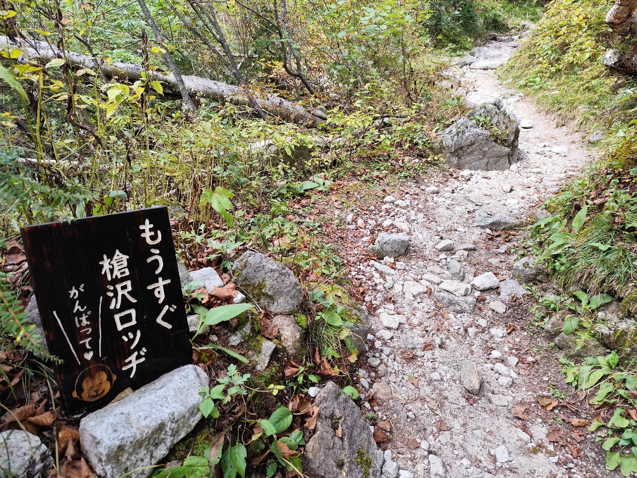 f:id:yueguang:20261010003014j:image f:id:yueguang:20261010003014j:image