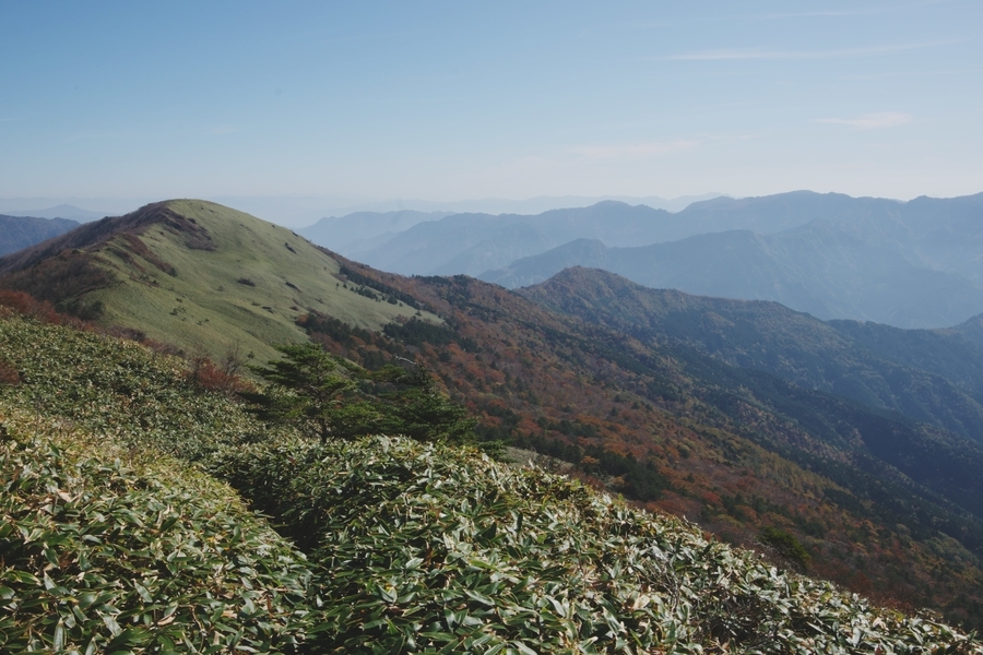 四国の中心 石鎚山脈の平家平で静かな山歩き 散切り頭を叩いてみれば 四国の中心 石鎚山脈の平家平で静かな山歩き 散切り頭を叩いてみれば