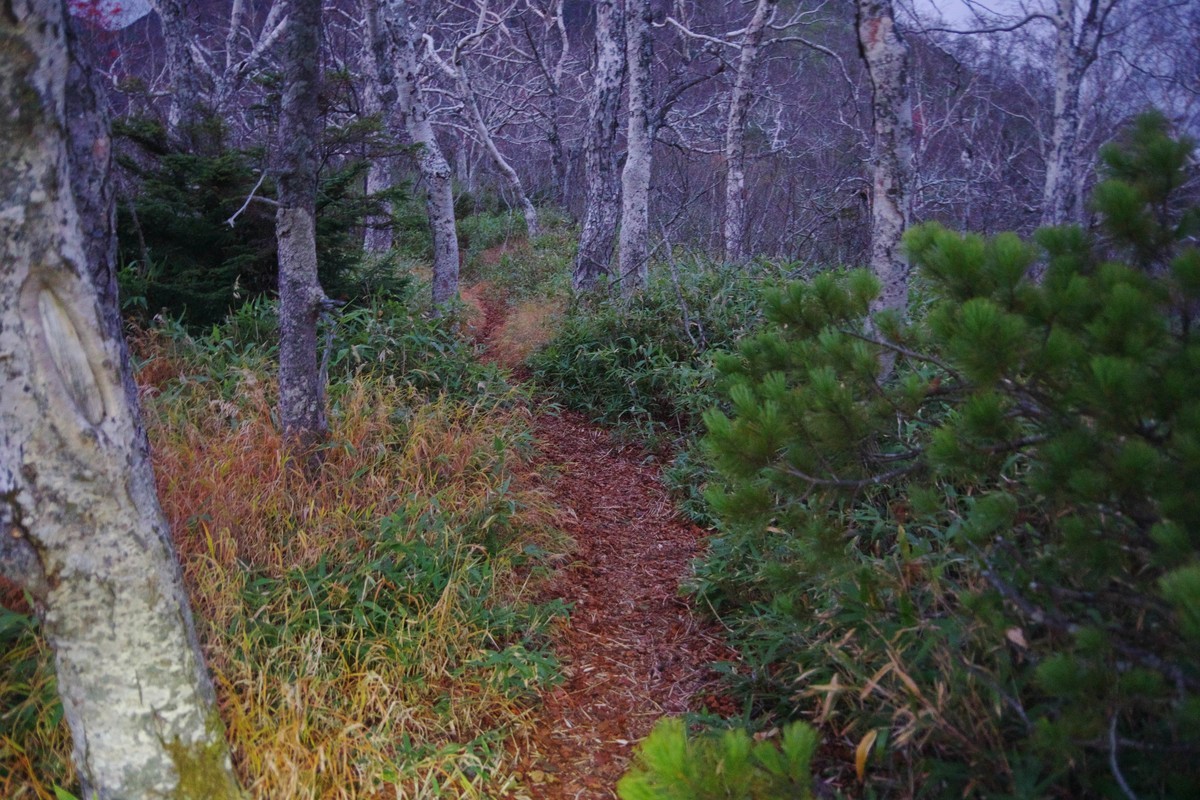 f:id:yugataquintet:20201015201750j:plain f:id:yugataquintet:20201015201750j:plain