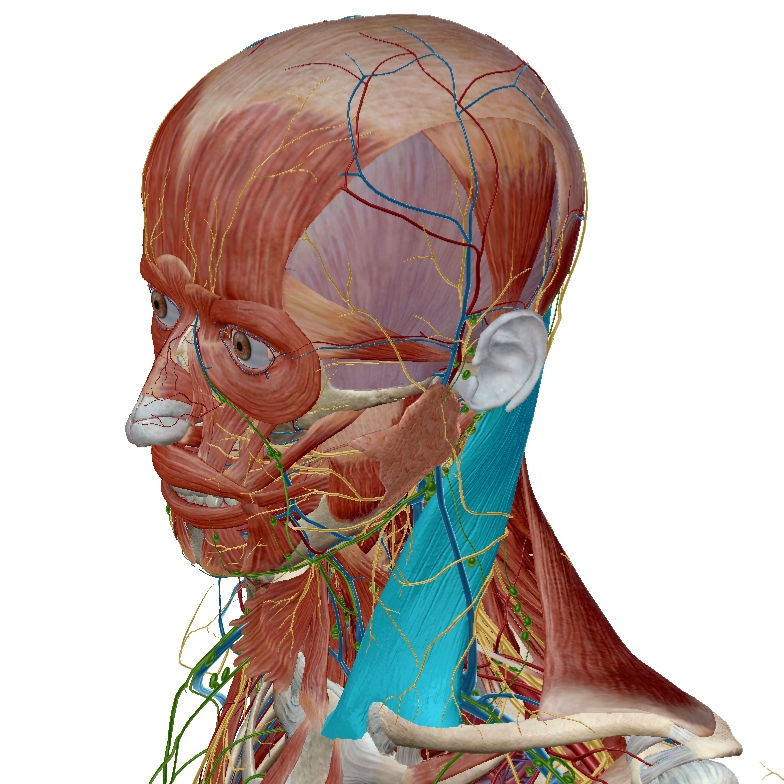 f:id:yugetti:20200307171238j:plain f:id:yugetti:20200307171238j:plain