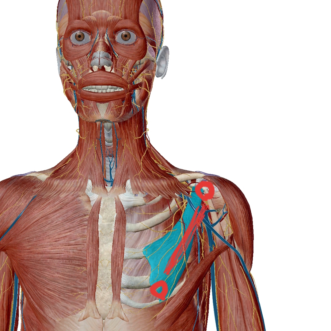 f:id:yugetti:20200307171338j:plain f:id:yugetti:20200307171338j:plain