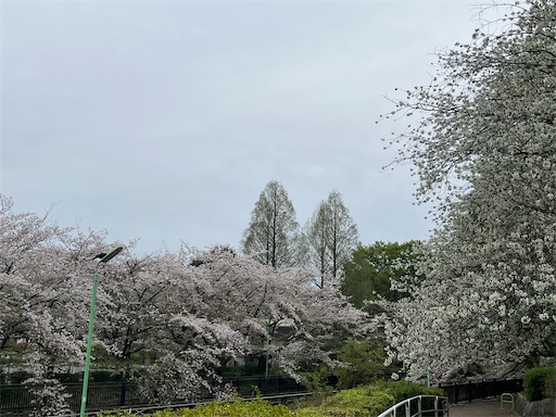 f:id:yugre:20260407140120j:image
