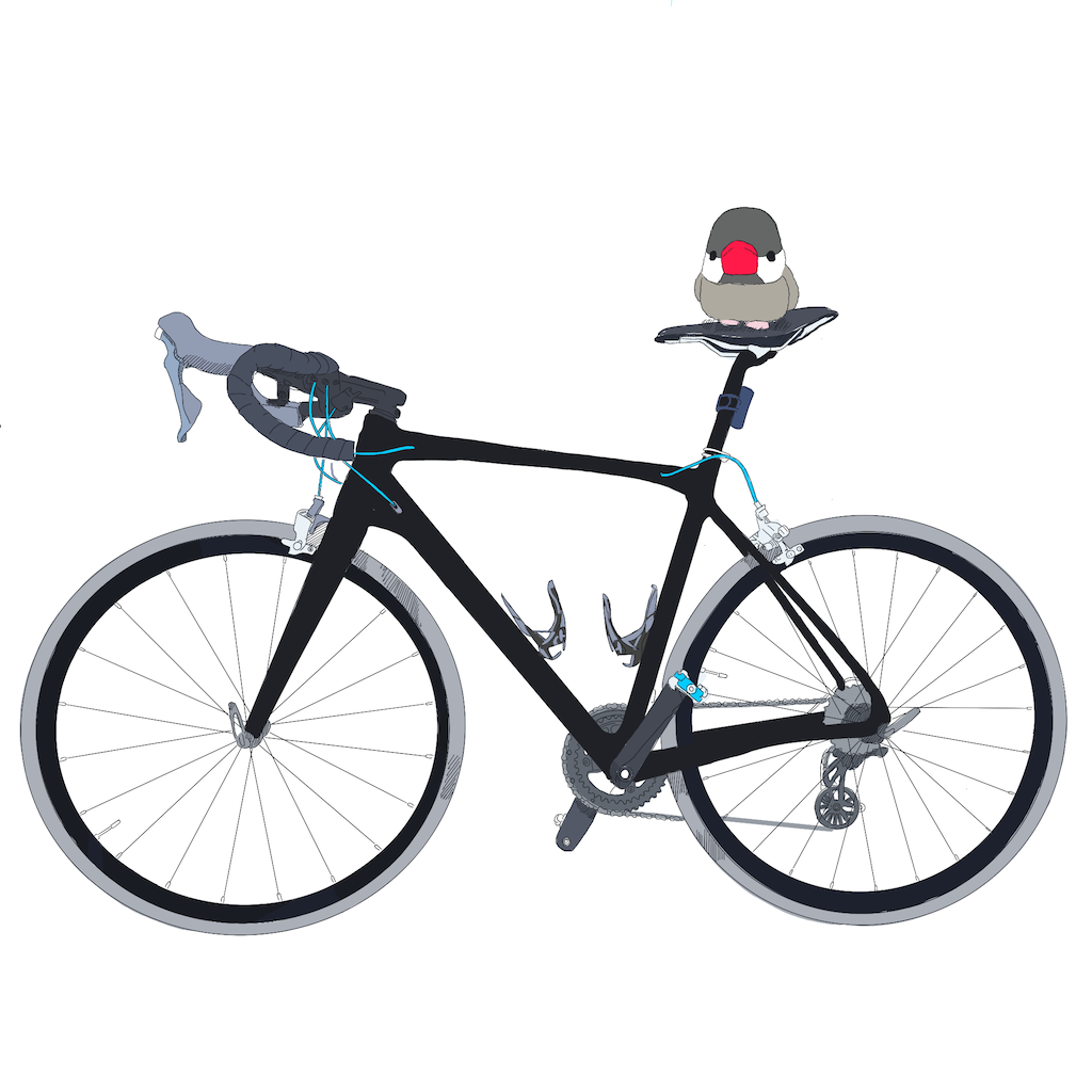 11速化計画！！！TCRにZONDAを取り付ける - 文鳥のCycling Life