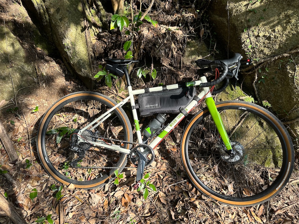 グラベルでも脊振に登りたい！ - 文鳥のCycling Life