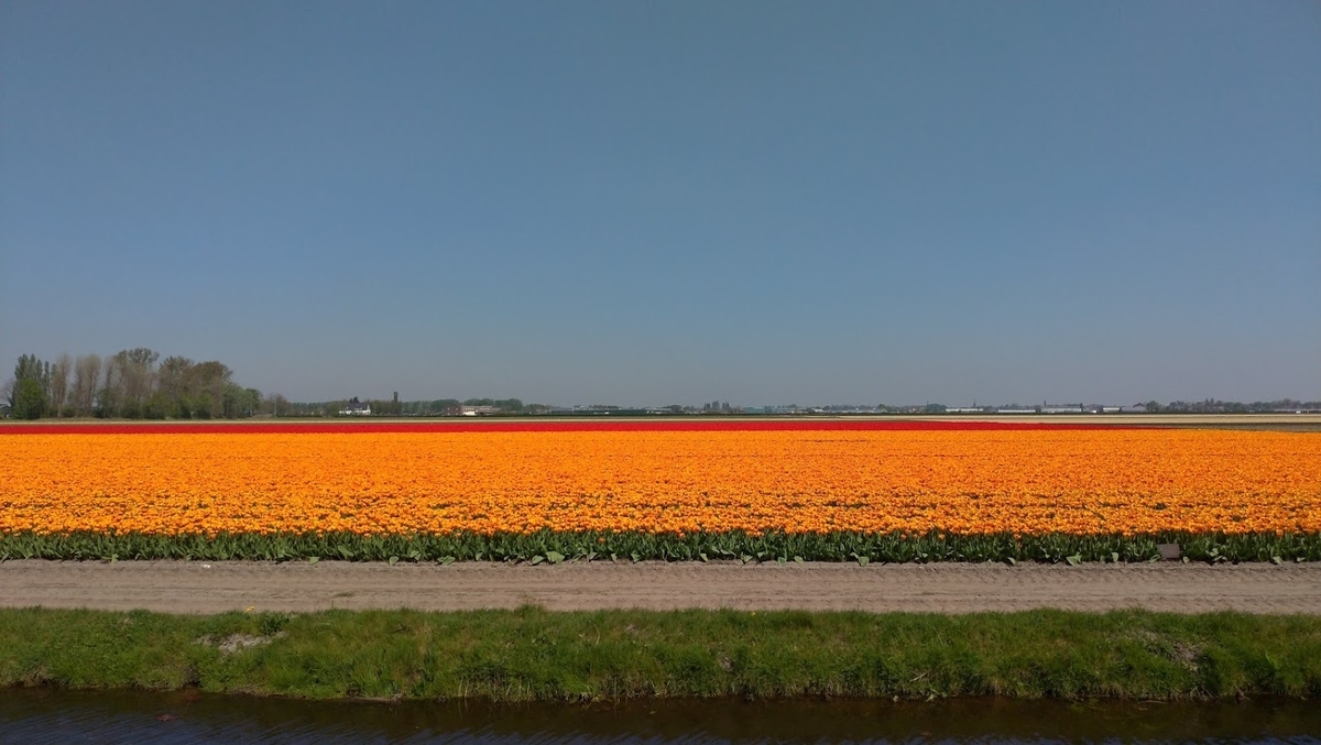 f:id:yuhei59:20190430060242j:plain f:id:yuhei59:20190430060242j:plain