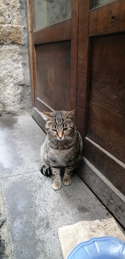 f:id:yuhei59:20191115183221j:plain f:id:yuhei59:20191115183221j:plain