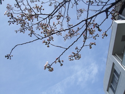 f:id:yuheipapa:20100322105934j:image f:id:yuheipapa:20100322105934j:image