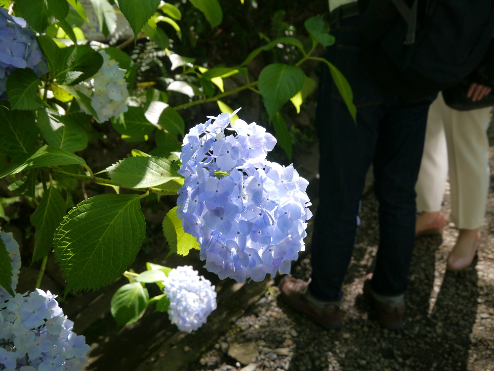 f:id:yuheipapa:20190622210055j:plain f:id:yuheipapa:20190622210055j:plain