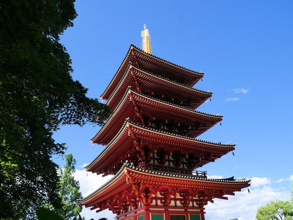 f:id:yuheipapa:20190622210714j:plain f:id:yuheipapa:20190622210714j:plain