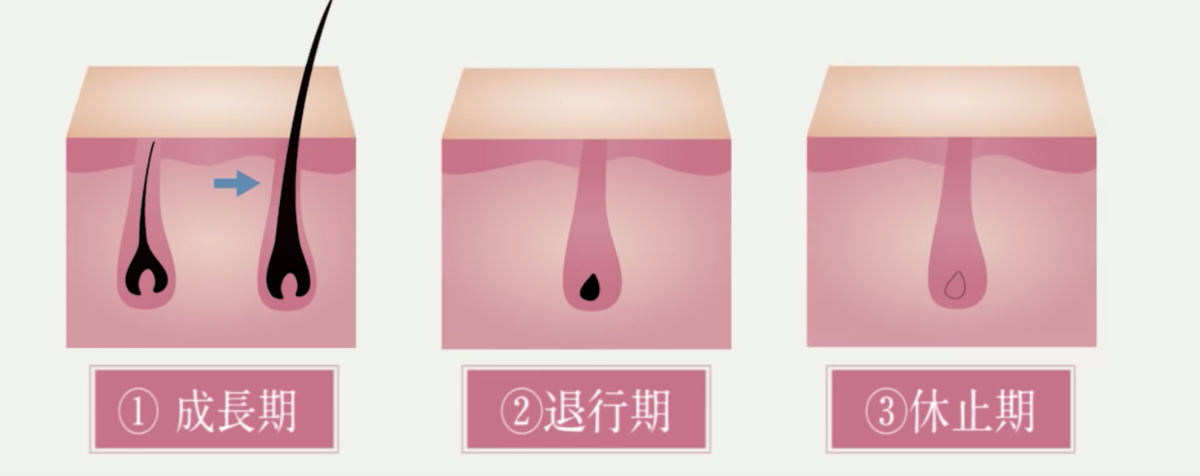 f:id:yuheiwork:20191211031239p:plain f:id:yuheiwork:20191211031239p:plain
