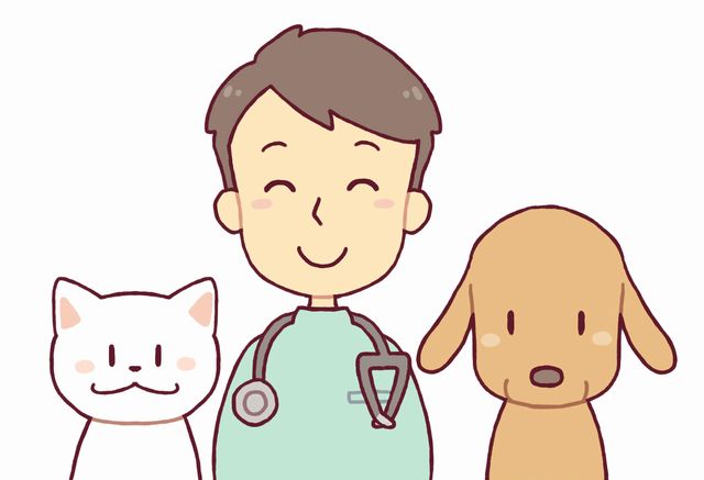 東京 犬の皮膚病にオススメの動物病院 皮膚科 ランキング 保護犬カンナの日記