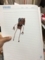 20180407215708