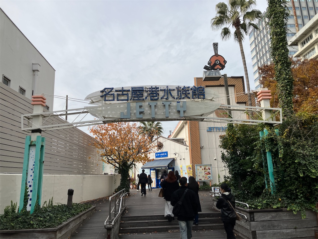 f:id:yuhitetration:20241213130241j:image