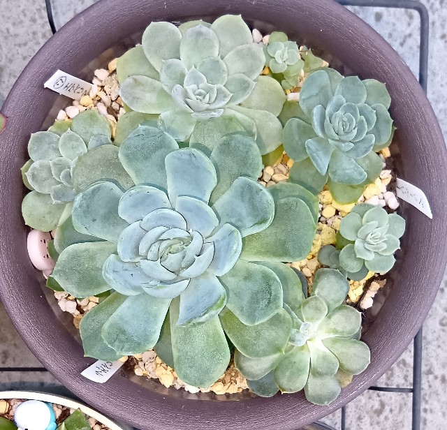 f:id:yui-mei-mung:20251007090312j:image