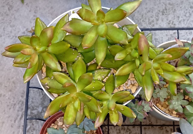 f:id:yui-mei-mung:20251007090359j:image