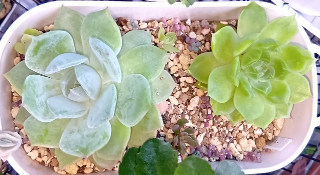 f:id:yui-mei-mung:20251007090447j:image