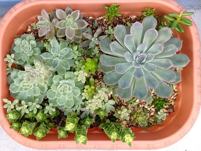 f:id:yui-mei-mung:20251009085628j:image