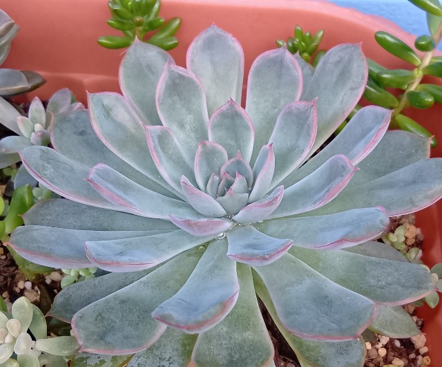 f:id:yui-mei-mung:20251009085739j:image