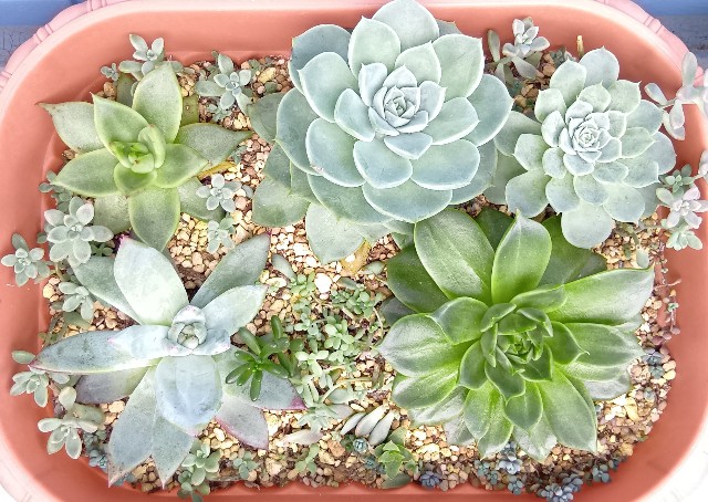 f:id:yui-mei-mung:20251009090508j:image