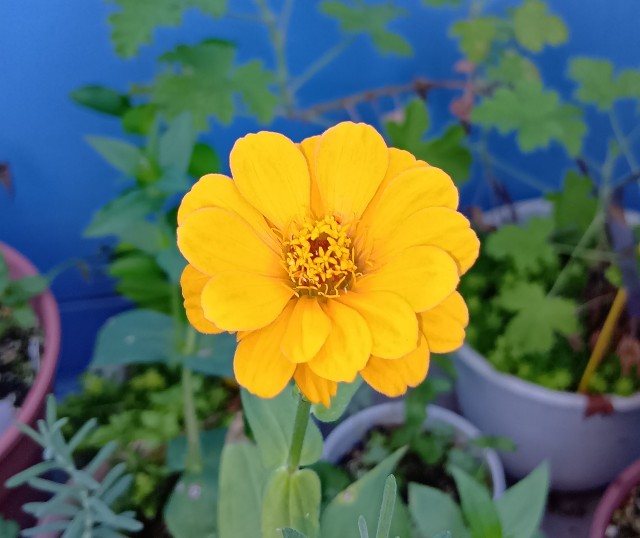 f:id:yui-mei-mung:20251012134415j:image