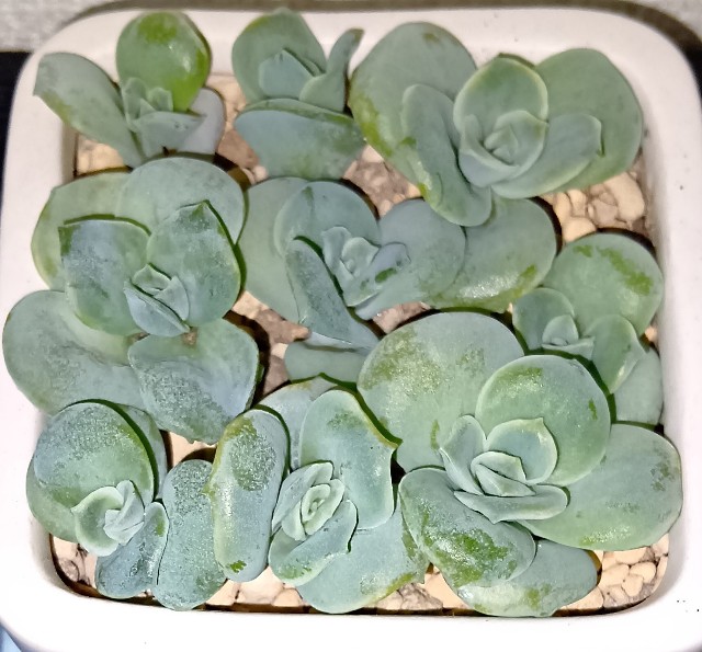 f:id:yui-mei-mung:20251025172137j:image