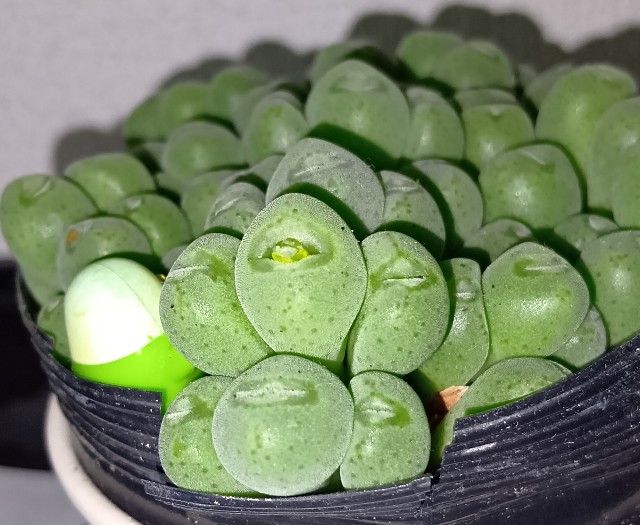 f:id:yui-mei-mung:20251025172756j:image