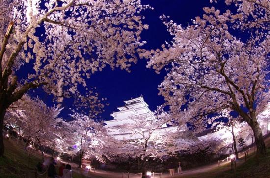 f:id:yui052009010225:20170624122554j:image f:id:yui052009010225:20170624122554j:image