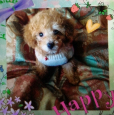f:id:yui052009010225:20170920215613j:image f:id:yui052009010225:20170920215613j:image