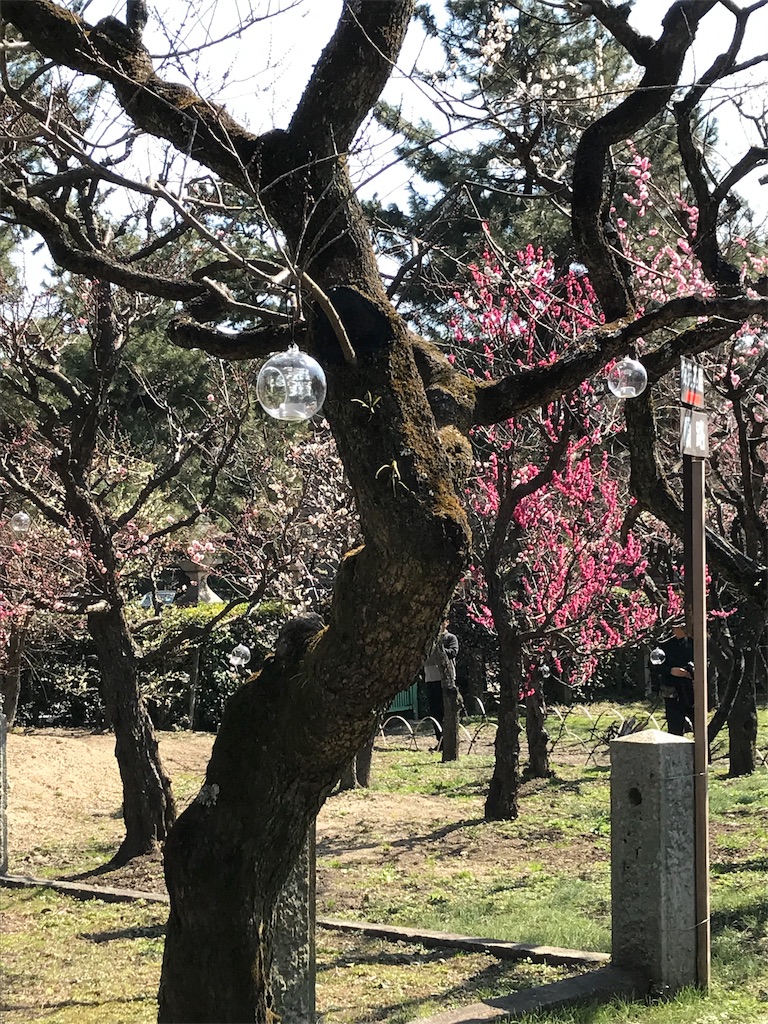 f:id:yui7312000:20190227131425j:image f:id:yui7312000:20190227131425j:image