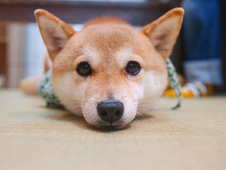 えいっち んさんの配信が面白い ゆいたむブログ