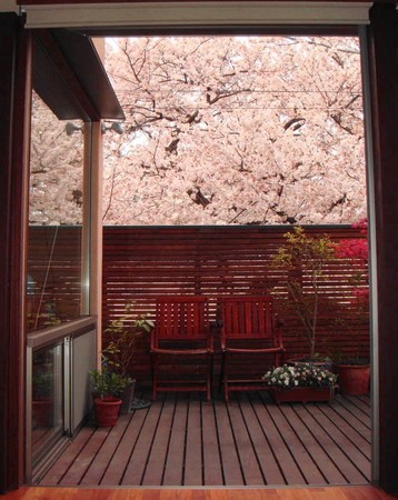 f:id:yuiarch:20070409214535j:image:w100