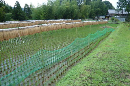 20071022154517