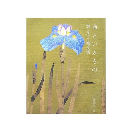 20080411105605
