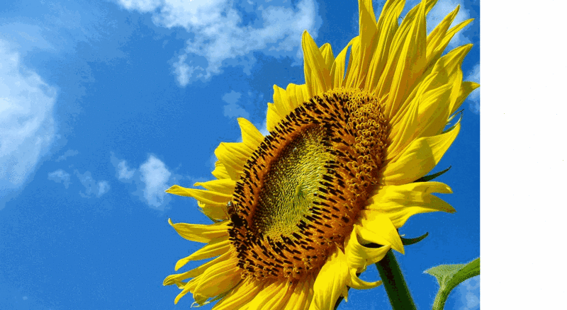 f:id:yuiazu1116:20130810143649g:image f:id:yuiazu1116:20130810143649g:image