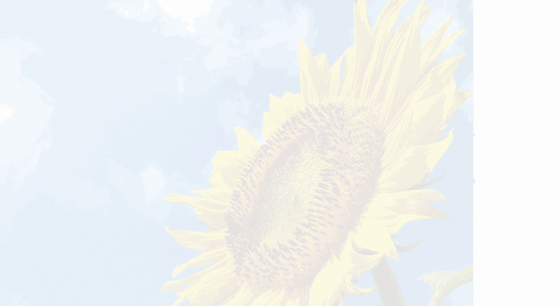 f:id:yuiazu1116:20130810144350g:image f:id:yuiazu1116:20130810144350g:image